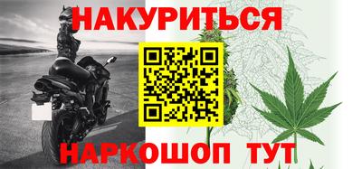 ECSTASY Новозыбков