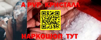 a pvp Новодвинск
