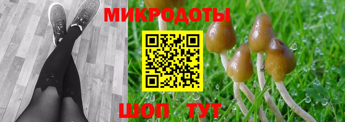 Тихвин  Галлюциногенные грибы прущие грибы  Псилоцибиновые грибы GOLDEN TEACHER  Вход с VPN 